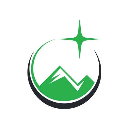 NSFlogo